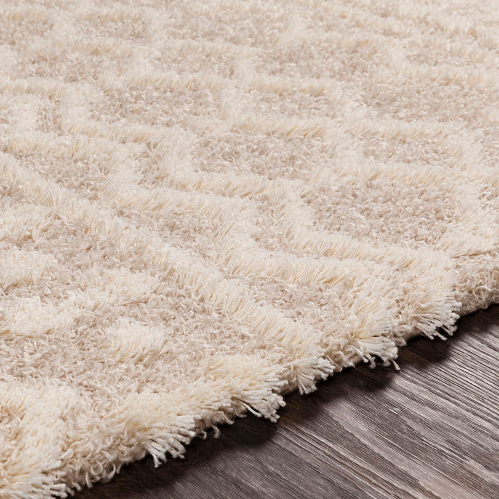 Lurdes Geometric Area Rug Langley Street® Rug Size: Runner 2'7" x 12'
