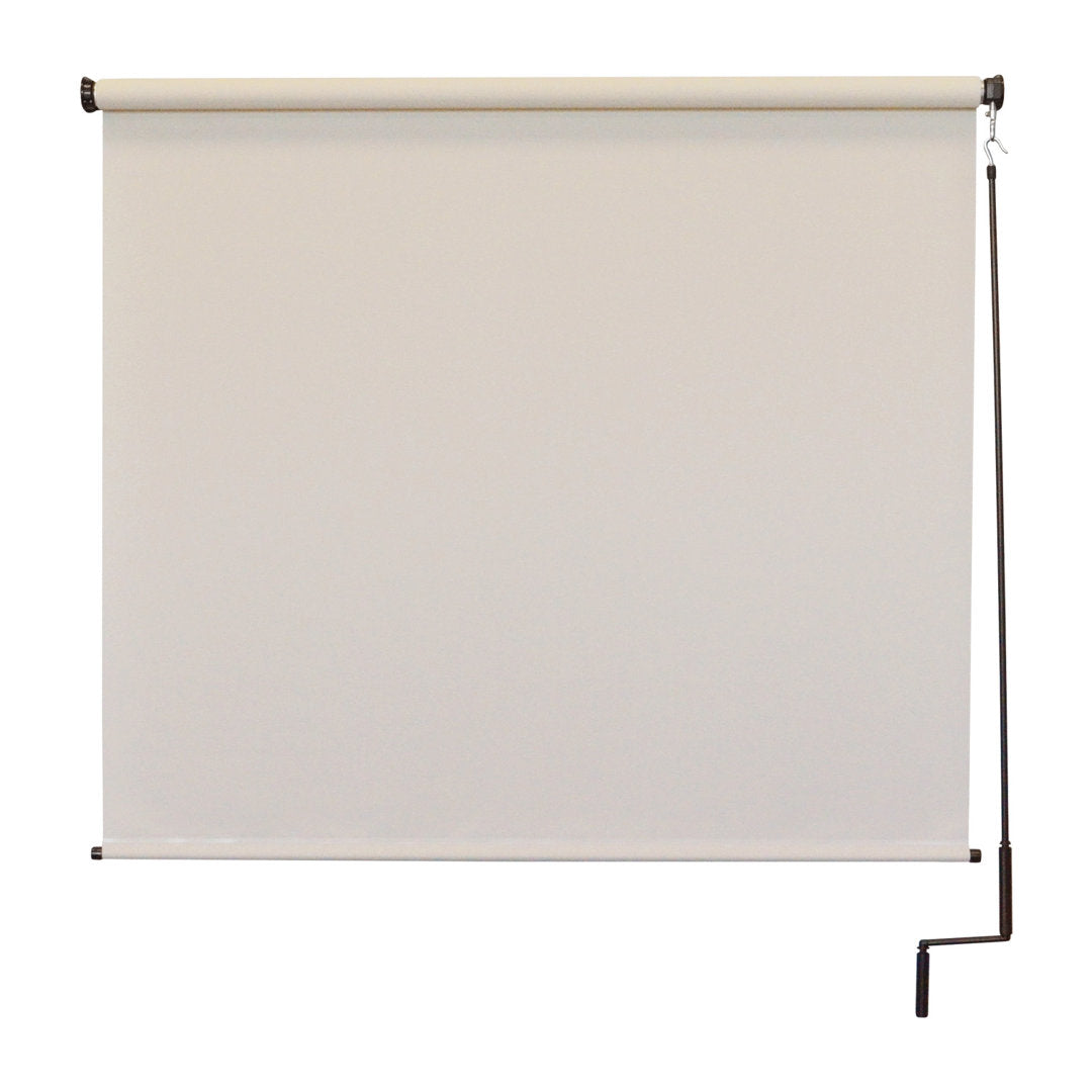 Hillhouse Semi-Sheer Outdoor Roller Shade Symple Stuff Color: Palm Blind Size: 48"W x 96"L