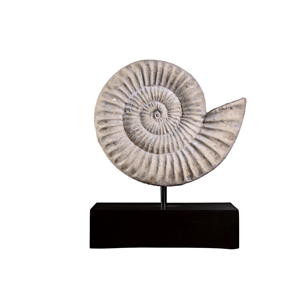 Ammonite Fossil Mount Sculpture Design Toscano