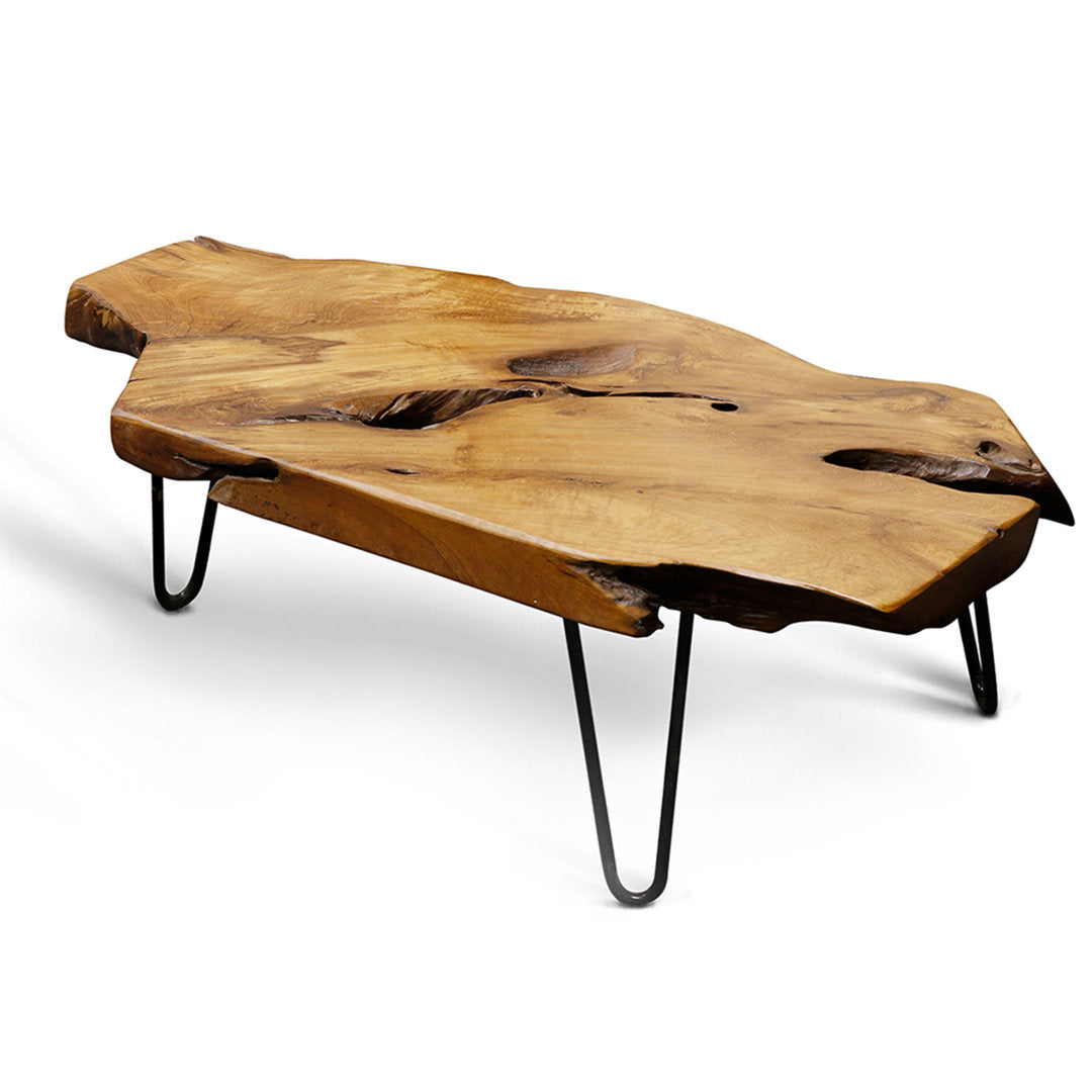 Thaxton 3 Leg Coffee Table Steelside™