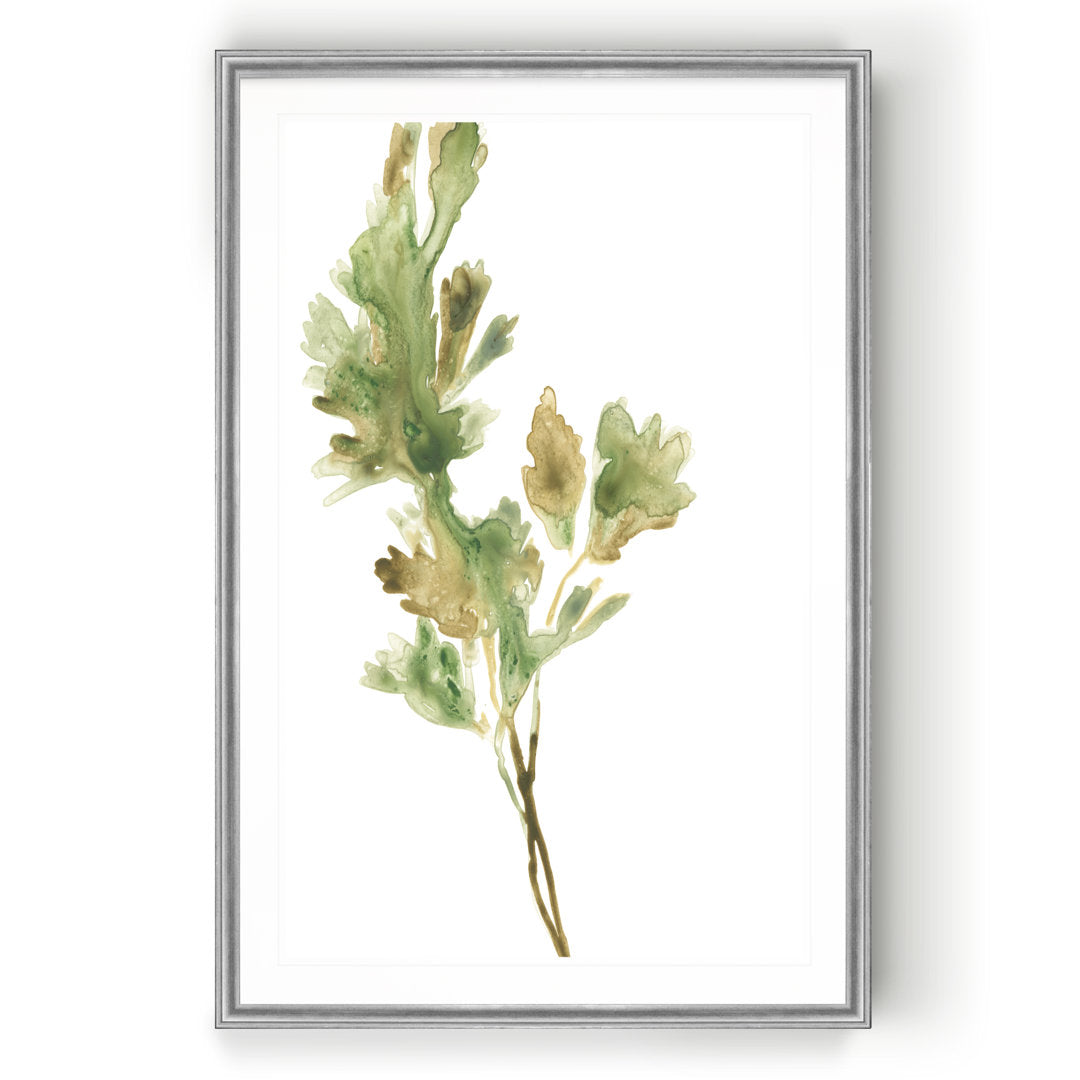 Earthtone Herbs I' Painting on Canvas Gracie Oaks Size: 30.5" H x 42.5" W x 1.5" D Format: Silver Framed