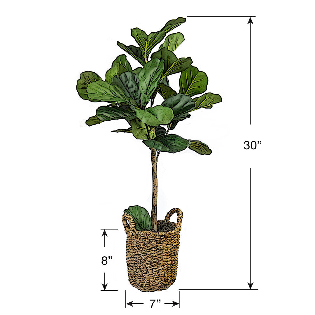 30" Artificial Fiddle Leaf Fig Tree in Basket Joss & Main