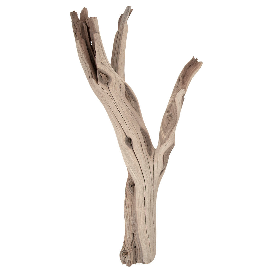 Adolfa Decorative Natural Scuplture Union Rustic Size: 24" W
