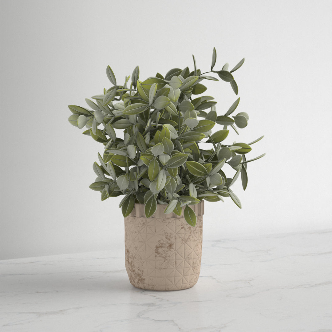 10.25" Artificial Eucalyptus Plant in Pot Kelly Clarkson Home
