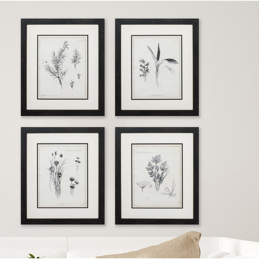 Latin Botanicals' 4 Piece Picture Frame Print Set on Paper Gracie Oaks