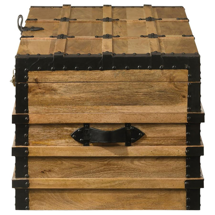 Francene Ellis Accent Trunk Union Rustic