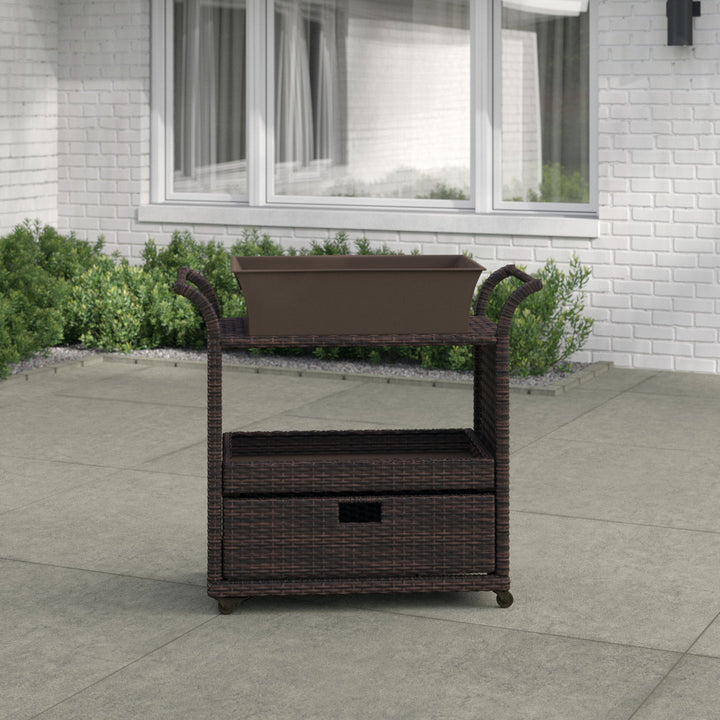 Zytavious Bar Cart with Iron and Wicker Red Barrel Studio®