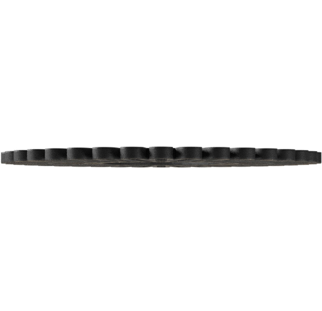 Cornelius Ceiling Medallion Ekena Millwork Color: Antiqued Warm Silver Size: 38" H x 38" W x 1" D