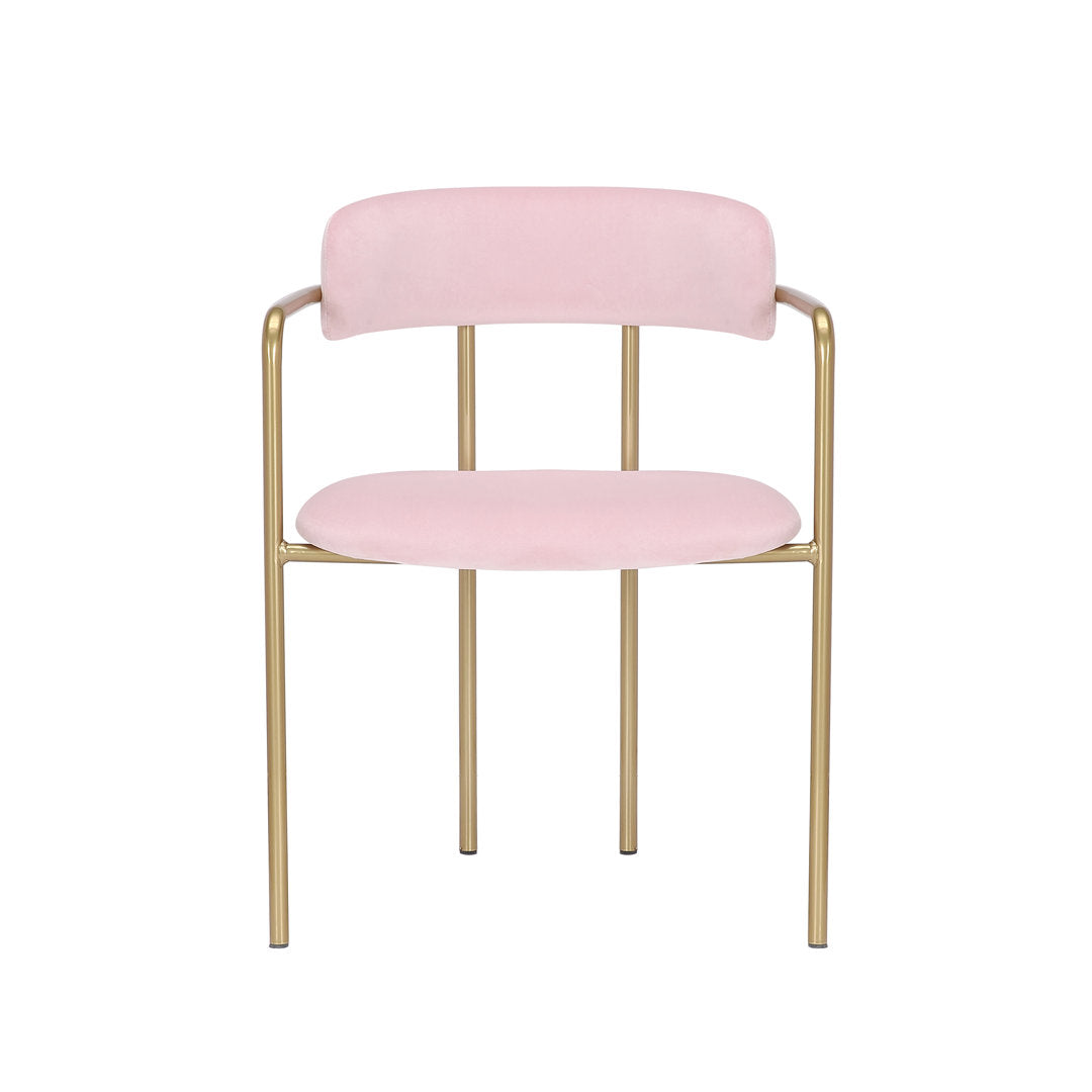Chestertown Gold Chrome Dining Chair (Set of 2) Willa Arlo™ Interiors Upholstery Color: Pink