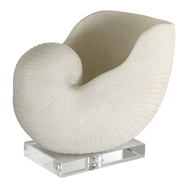 Lakefield Shell Sculpture Birch Lane™