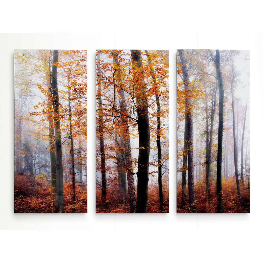 Lost in the Forest - 3 Piece Wrapped Canvas Multi-Piece Image Print Set Alcott Hill® Overall Size: 32" H x 48" W x 1.5" D