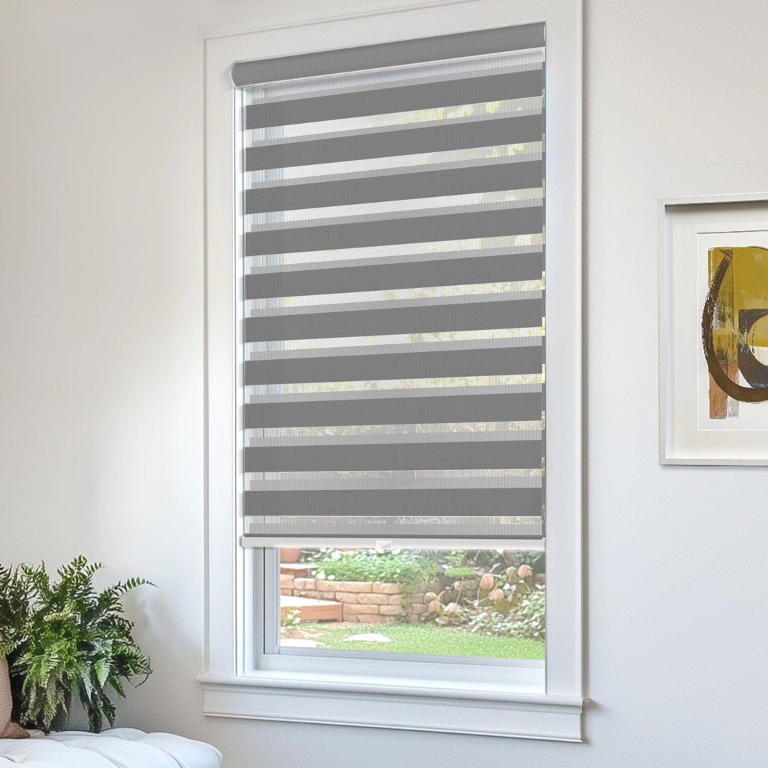 Premium Room Darkening Roller Shade Latitude Run® Length & Width: 49"W x 72"L, Finish: Basic Slate