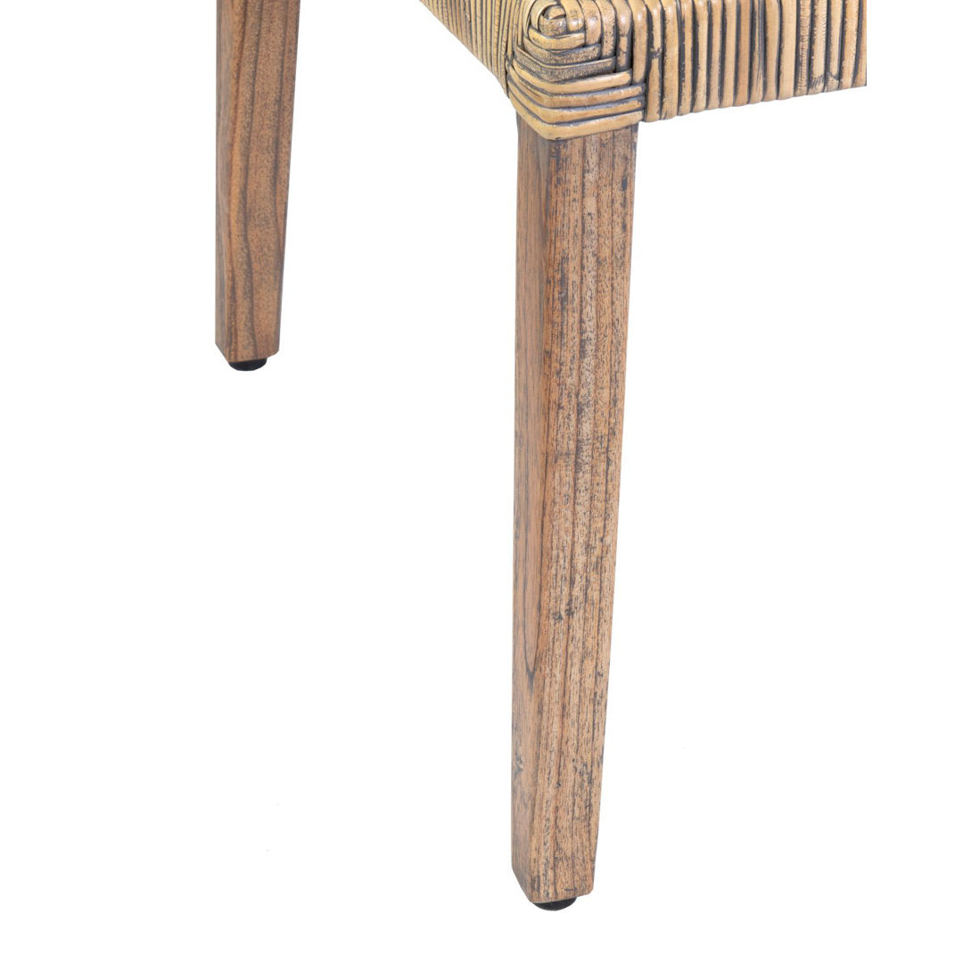 Alani Side Chair in Natural Brown (Set of 2) Joss & Main