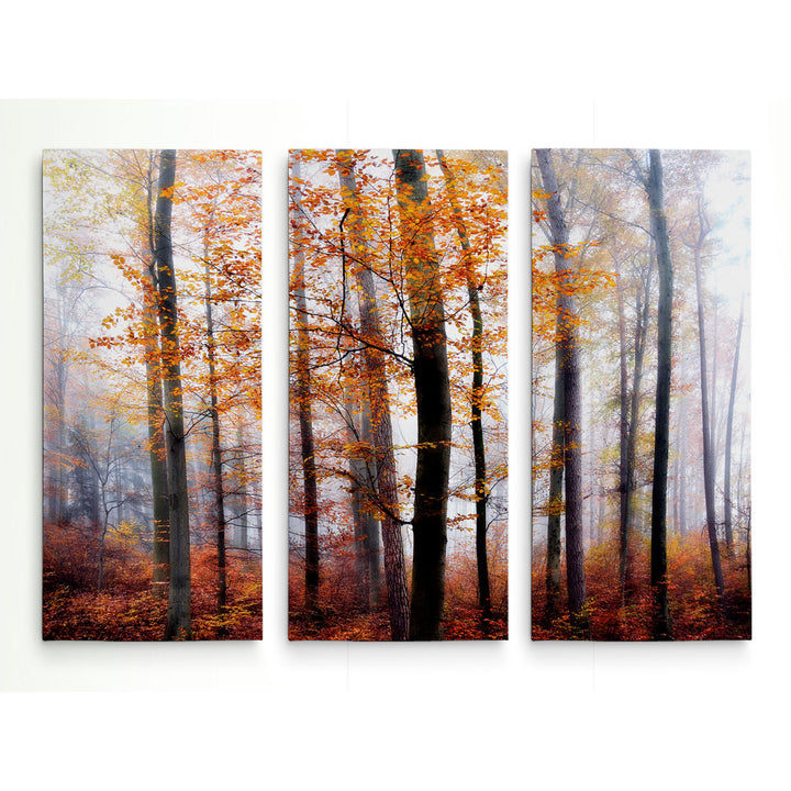 Lost in the Forest - 3 Piece Wrapped Canvas Multi-Piece Image Print Set Alcott Hill® Overall Size: 32" H x 48" W x 1.5" D