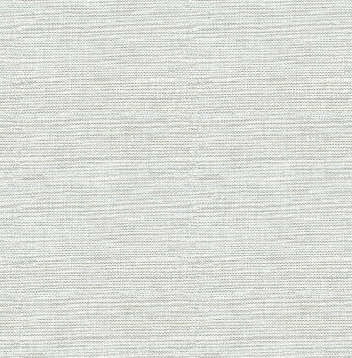 Agave 33' L x 20.5" W Wallpaper Roll Birch Lane™ Color: gray
