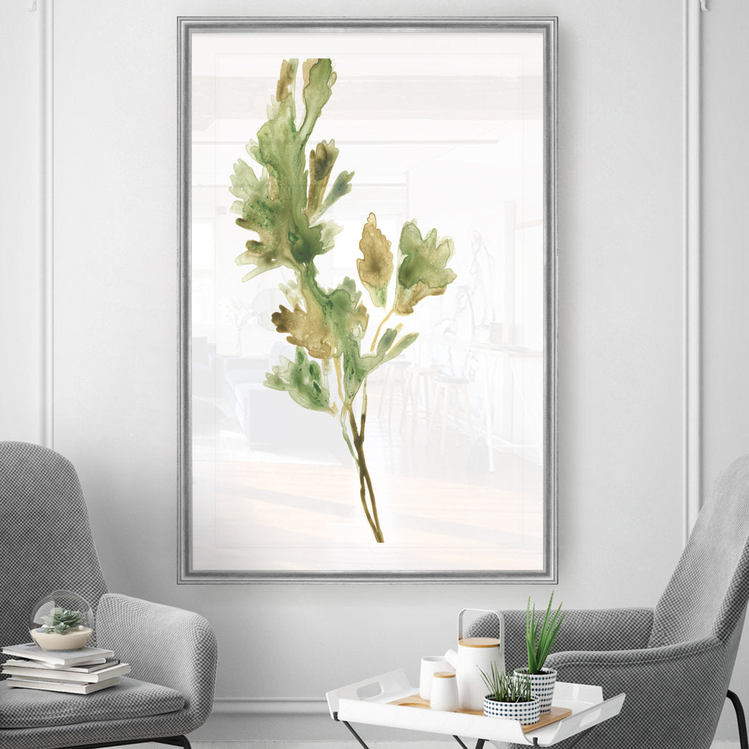 Earthtone Herbs I' Painting on Canvas Gracie Oaks Size: 30.5" H x 42.5" W x 1.5" D Format: Silver Framed