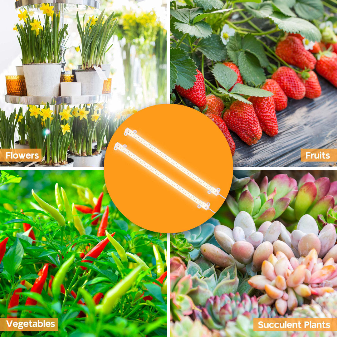 Braely LED Grow Light Arlmont & Co.
