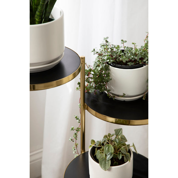 Logan Square Round Multi-Tiered Solid Wood Plant Stand Mercury Row® Color: Black/Gold