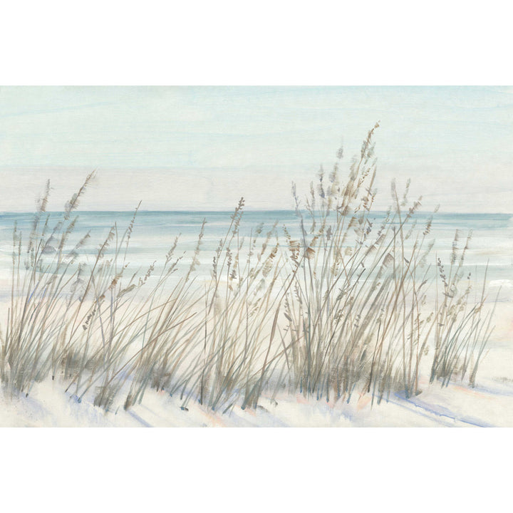 Beach Grass II Beachcrest Home™ Size: 32" H x 48" W x 1.25" D Format: Wrapped Canvas, Mat Included: No
