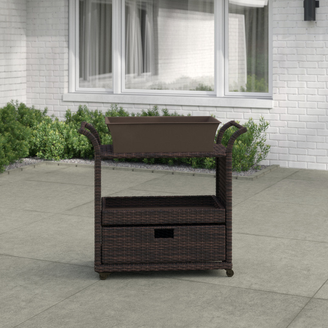 Zytavious Bar Cart with Iron and Wicker Red Barrel Studio®