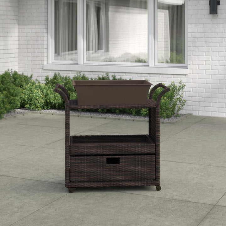 Zytavious Bar Cart with Iron and Wicker Red Barrel Studio®
