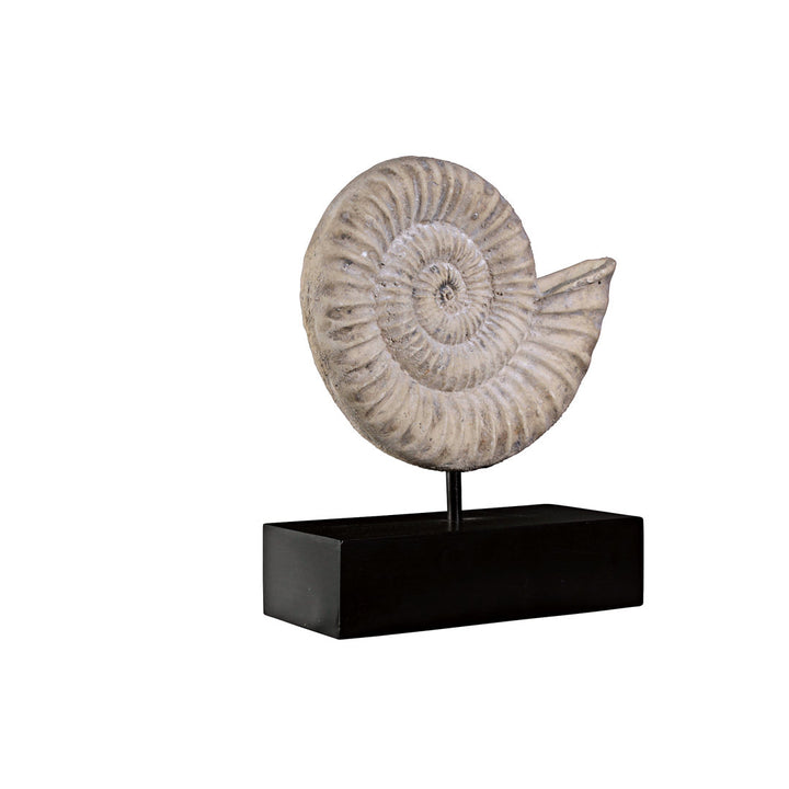 Ammonite Fossil Mount Sculpture Design Toscano
