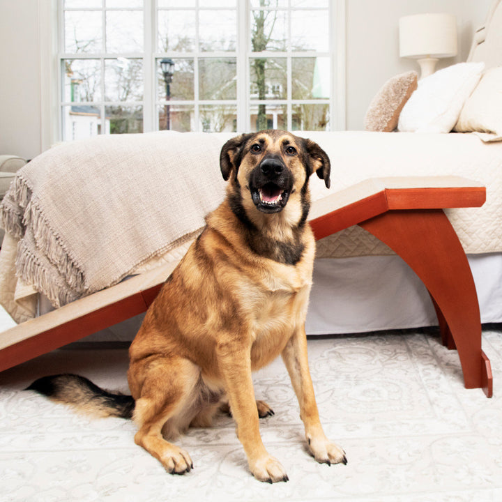 CozyUp Bed Ramp PetSafe®