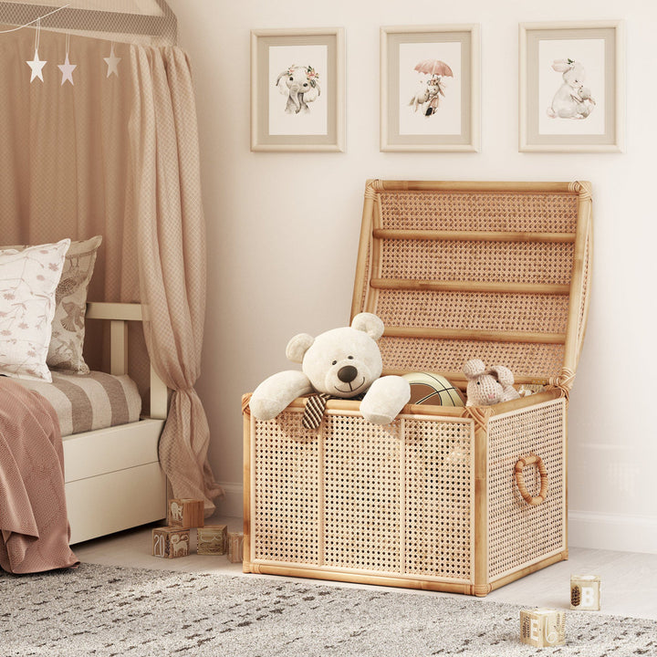 Noam Wicker Storage Trunk, Pre-assembled Lightweight Sturdy Rattan Storage Furniture Bayou Breeze