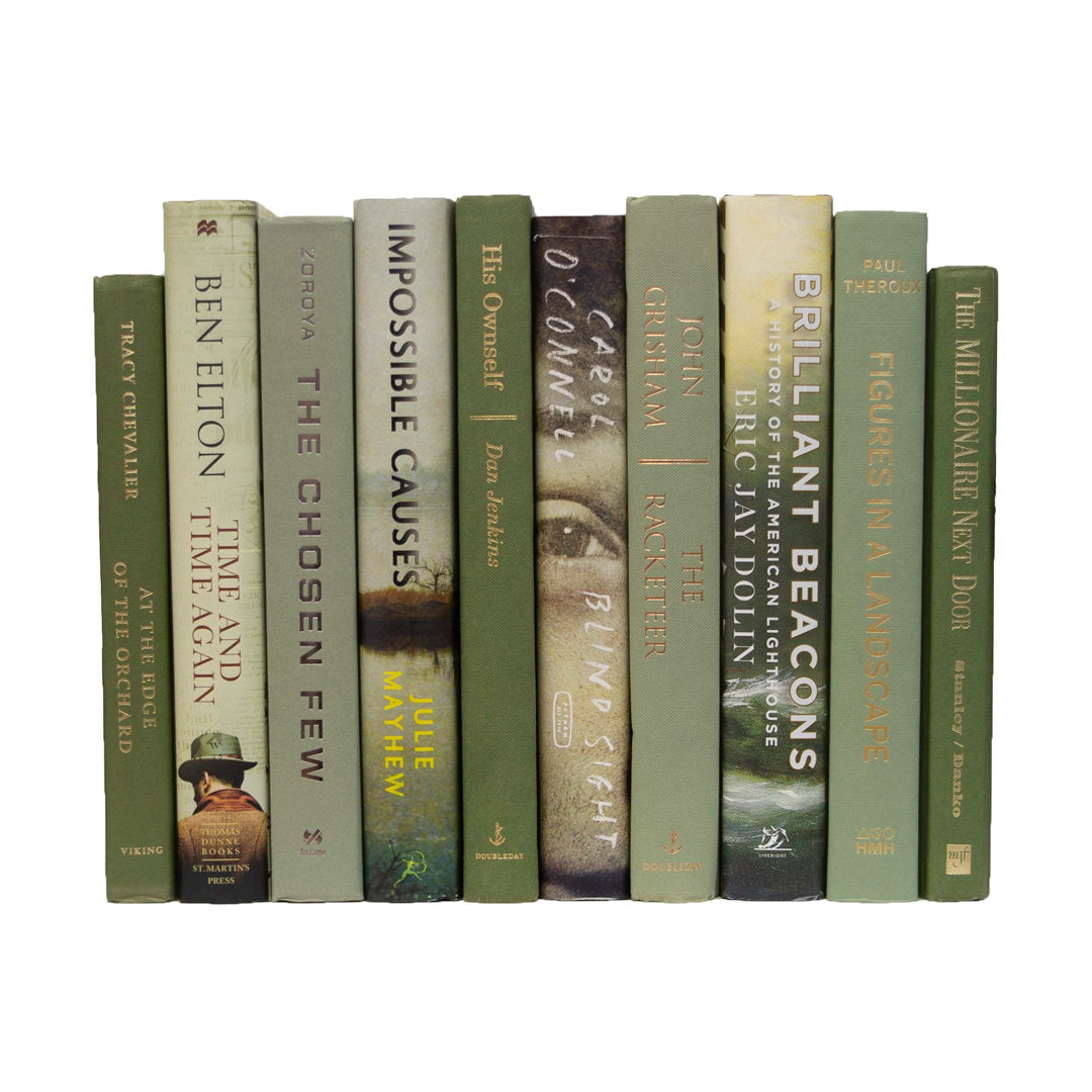 Modern Sage Mixed Media Serefina Joss & Main