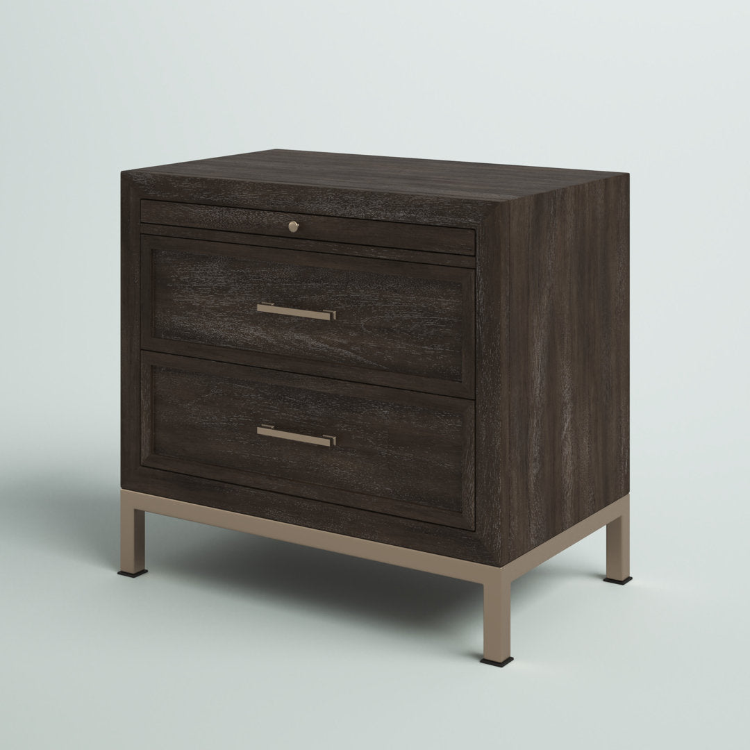 Brinerl 2 - Drawer Nightstand in Brown Mercury Row®