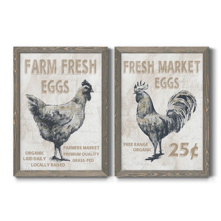 Farm Fresh Chicken - 2 Piece Print Set (Set of 2) August Grove® Mat Color: No Mat Size: 44" H x 31" W x 1" D Format: Gray Framed Canvas