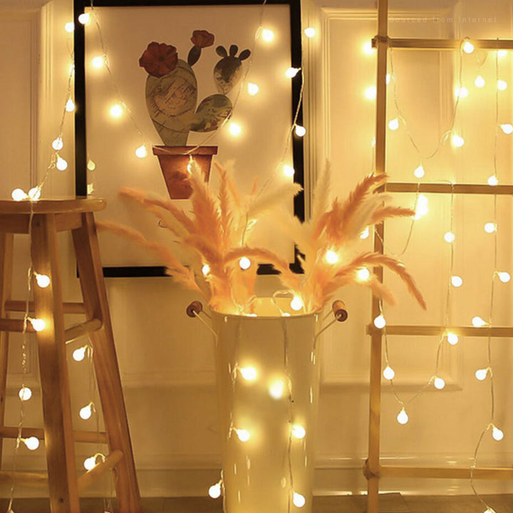 33'' Indoor LED 100 - Bulb Globe String Light, Fairy String Lights The Party Aisle™ Bulb Color: Warm White