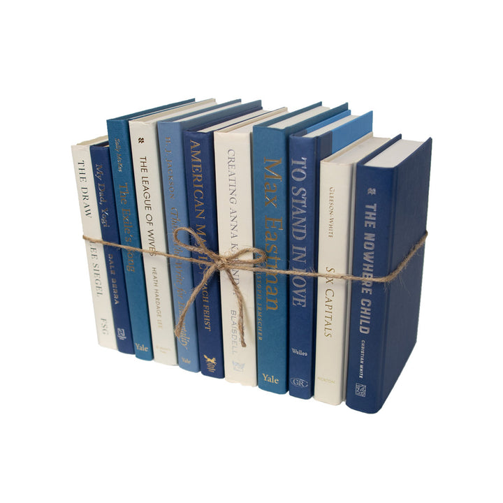 Modern Coastal Shores Colorpak Booth & Williams