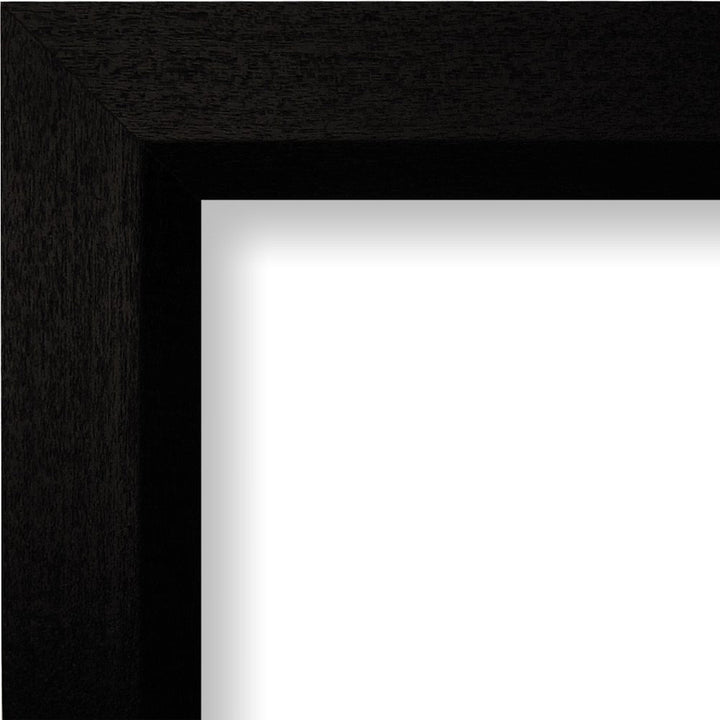 Single Picture Frame Alcott Hill® Color: Black Photo Size: 17" x 24"