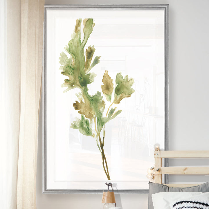 Earthtone Herbs I' Painting on Canvas Gracie Oaks Size: 30.5" H x 42.5" W x 1.5" D Format: Silver Framed