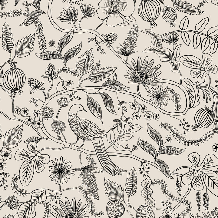 Rifle Paper Co. x Cloth & Company Bristol Armchair Rifle Paper Co. x Cloth & Company Body Fabric: Rpc Aviary Black & Cream Linen