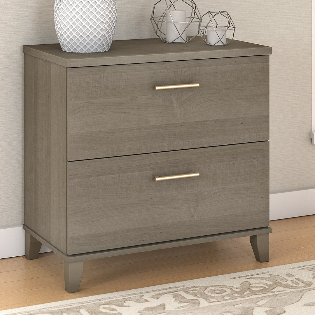 Magomed 2-Drawer Lateral Filing Cabinet Gracie Oaks Color: Ash Gray