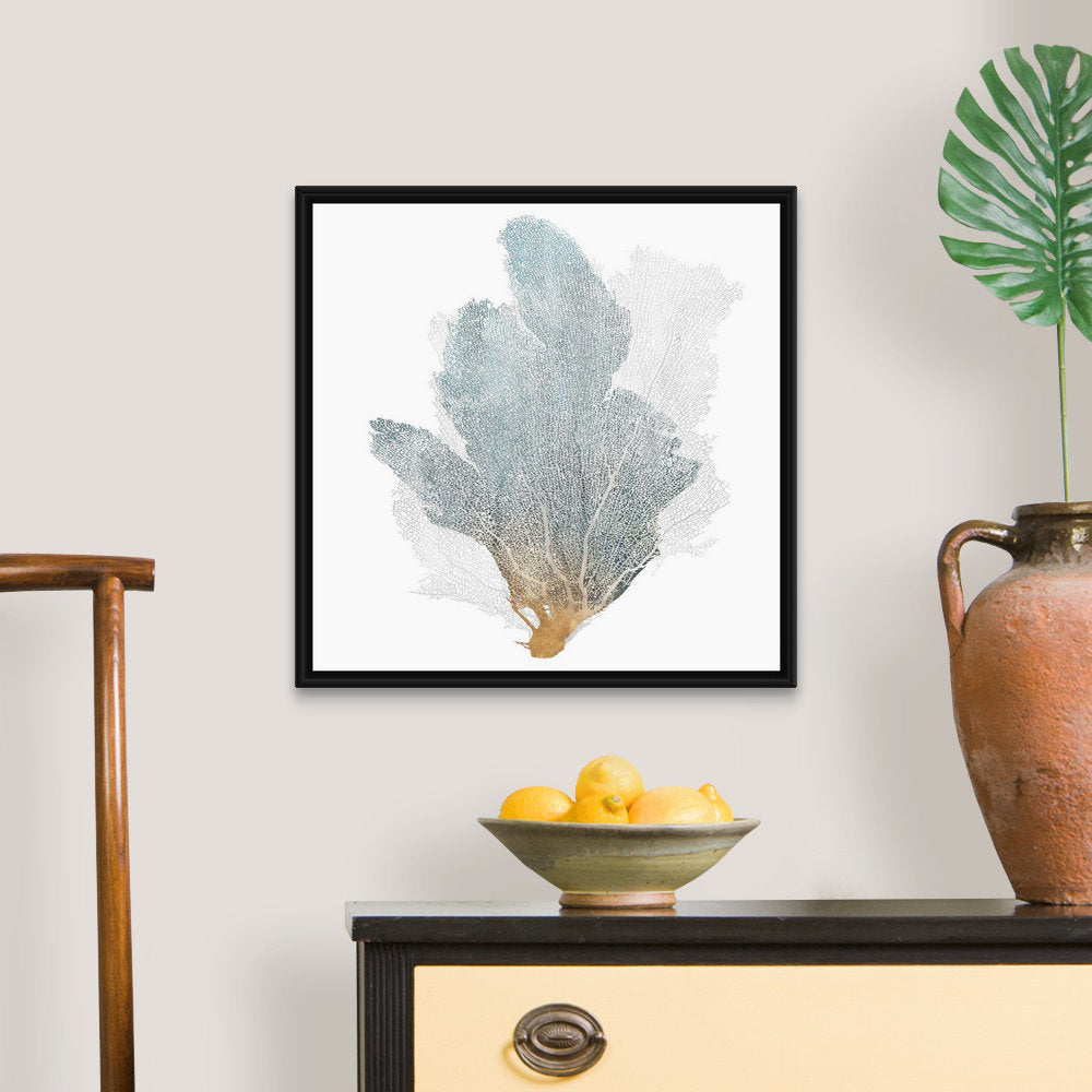 Delicate Coral II by Isabelle Z - Painting Print on Canvas Beachcrest Home™ Size: 22" H x 22" W x 1.75" D Format: Black Floater Framed Canvas