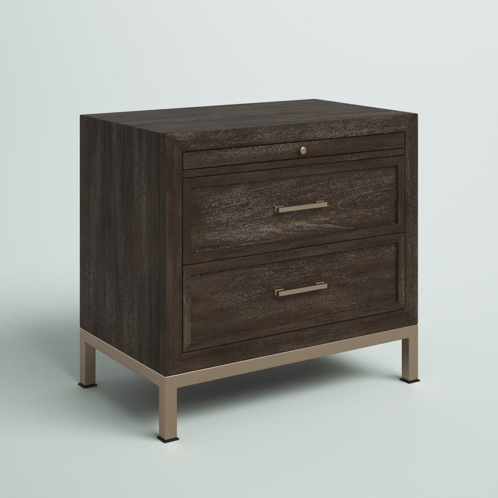 Brinerl 2 - Drawer Nightstand in Brown Mercury Row®