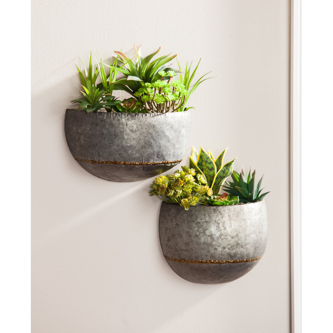 Clarence 2-Piece Resin Indoor/Outdoor Wall Planter Set Steelside™