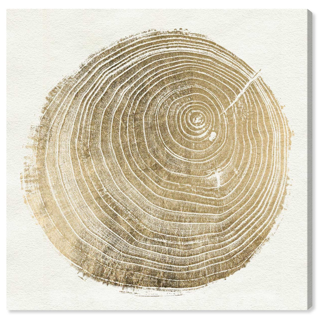 Abstract Cuore di Legno II - Picture Frame Graphic Art Print on Paper Brayden Studio® Size: 21.5" H x 21.5" W x 0.5" D Format: Brown Framed Paper