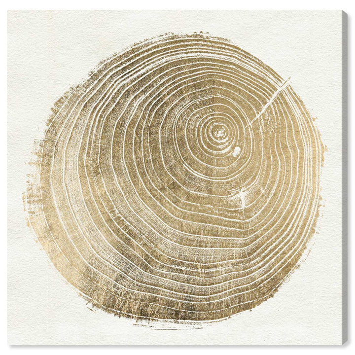 Abstract Cuore di Legno II - Picture Frame Graphic Art Print on Paper Brayden Studio® Size: 21.5" H x 21.5" W x 0.5" D Format: Brown Framed Paper
