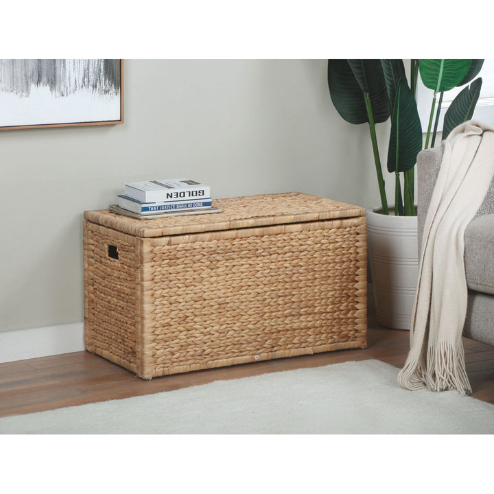 Ved Heavy-duty Water Hyacinth Wicker Storage Trunk with Metal Frame Highland Dunes Color: Natural