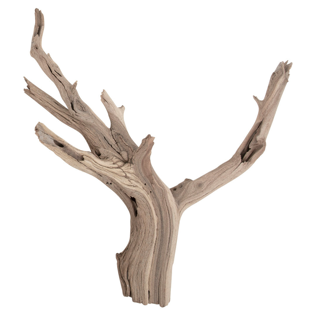 Adolfa Decorative Natural Scuplture Union Rustic Size: 24" W