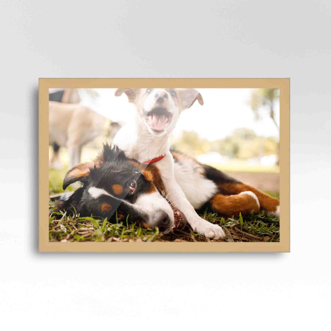 Wood Single Picture Frame in Brown CustomPictureFrames.com Color: Brown/White/Green Picture Size: 30" x 40"