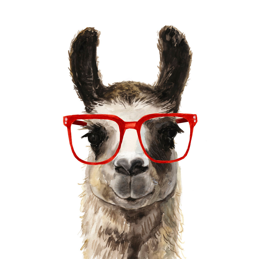 Hip Llama I Zipcode Design™ Size: 37.125" H x 25.125" W x 1.125" D Format: Silver Framed