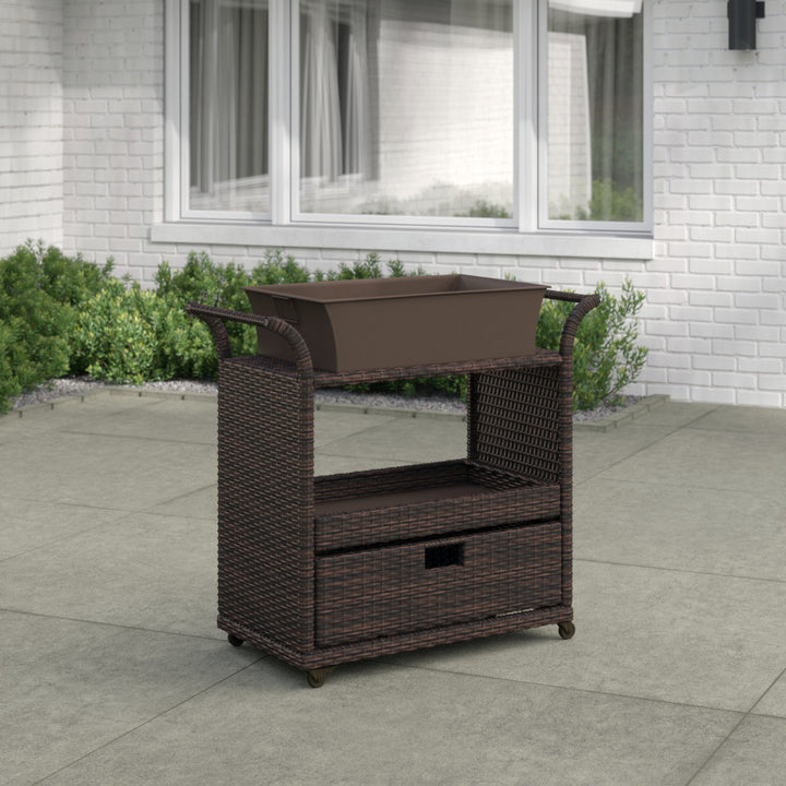 Zytavious Bar Cart with Iron and Wicker Red Barrel Studio®