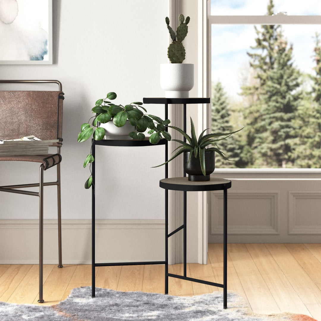 Logan Square Round Multi-Tiered Solid Wood Plant Stand Mercury Row® Color: Gray