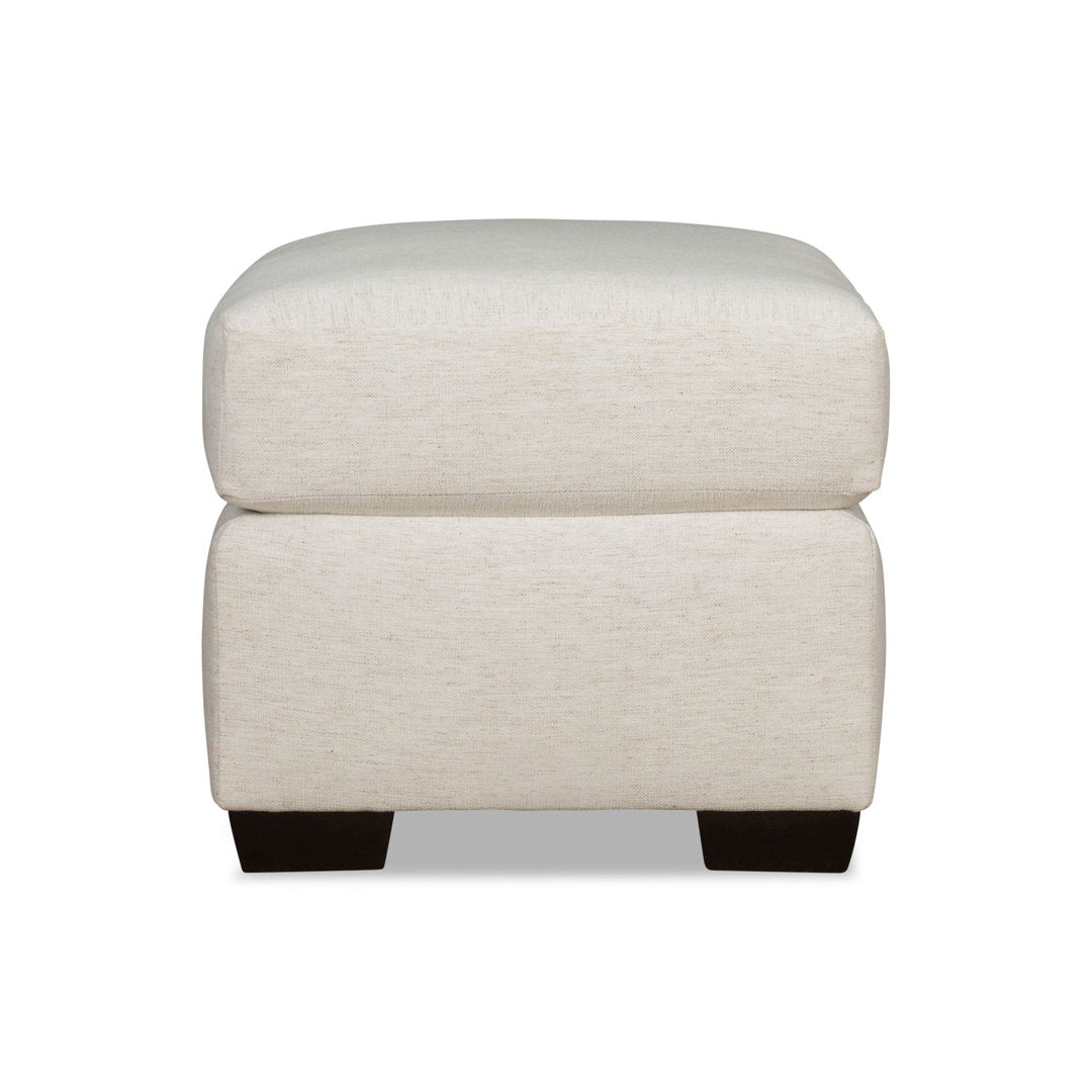 Cranbrook Upholstered Ottoman Birch Lane™ Fabric: Bella Ink Performance Velvet