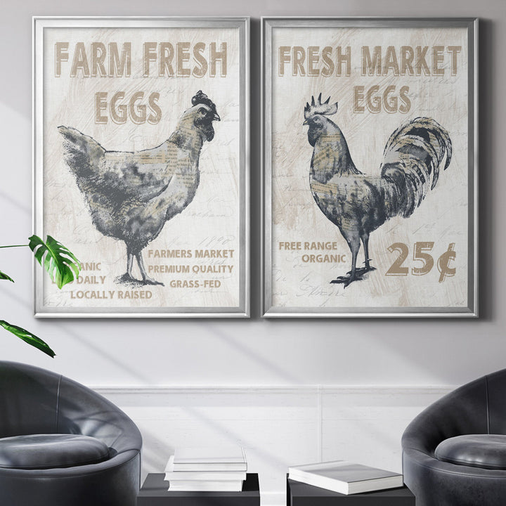 Farm Fresh Chicken - 2 Piece Print Set (Set of 2) August Grove® Mat Color: No Mat Size: 26.5" H x 73" W x 3" D Format: Silver Framed Canvas